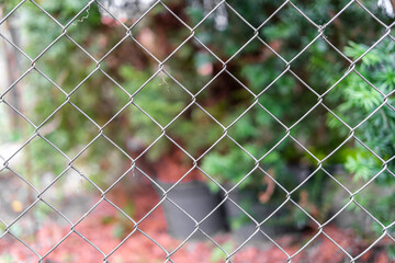 A fence of light mesh in the garden, which can be seen young thuja and pots (flowerpots) for planting flowers and trees.