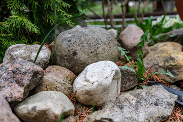A small alpine slide made of stones in the garden next to the thuja. The stones are laid out randomly, and around the stones are old crumbling dry branches of thuja.