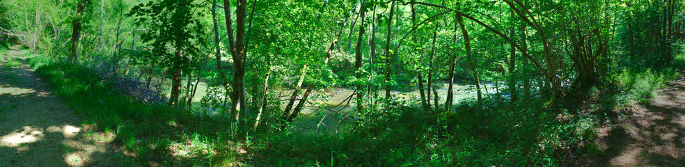 panoramic view of the Sioule river (Puy-de-Dome, Auvergne, France) flowing between the trees in summer