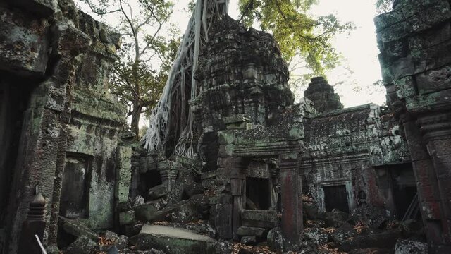 Medium shot of Ruins Of Angkor Temples Ta Prohm. Siem Reap, Cambodia