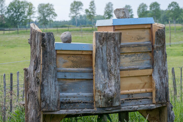 Bienenstock