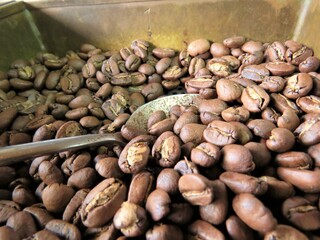 Roasted coffee with spoon ready for grinding