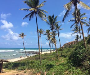Tibau, Natal, Brazil - January 26th 2020: Panoramic shot of beach against sky