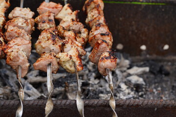 Close up of toasted shashlik on skewers. Succulent barbecue roasting on chargrill. Concept of picnic outdoor.