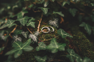 Close up of two wedding rings laying in lush green foliage. Shallow depth of field. Wedding day concept.