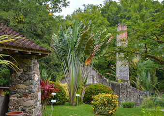 Ruins of old rum factory and sugar mill