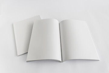 Magazine Mockup