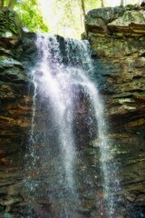 Nature, landscape, waterfalls, cumberland plateau, TN, flower, trees