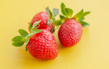 Three strawberries close up on yellow background