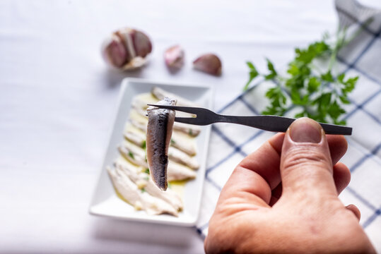 anchovies in vinegar with garlic and parsley on a white background and surrounded by ingredients.