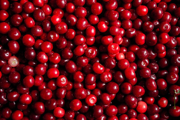 group of red cherries