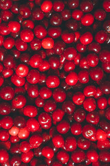 group of red cherries