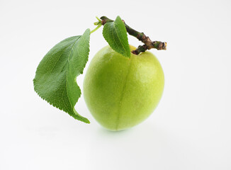 葉のついた青梅を白背景で
