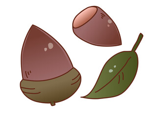 ドングリのイラストイメージ