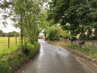 Fototapeta na wymiar Wet country road with trees and meadows in, Tong, Bradford, UK