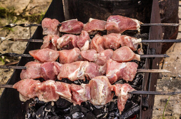 Raw meat on skewers on the brazier.