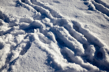 track on a winter road