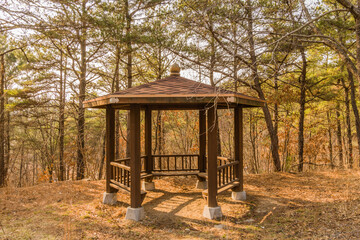 Wooden gazebo in rural woodland area