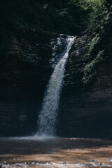 waterfall in the forest