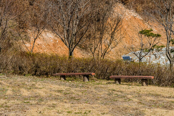 Park benches in front of hedge row