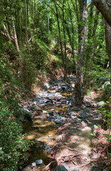 The stone mountain path - the part of nature hiking trail to the Millomeris waterfall. Platres, Cyprus.