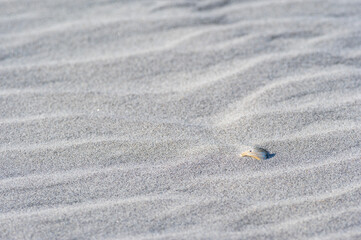 Sand Patterns