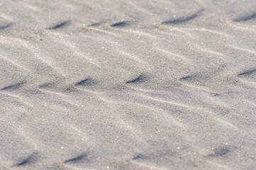 Sand Drifts
