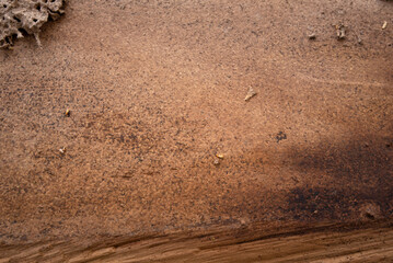Background image Traces of wood that is eaten by termites, harms the wood by termites, wooden background