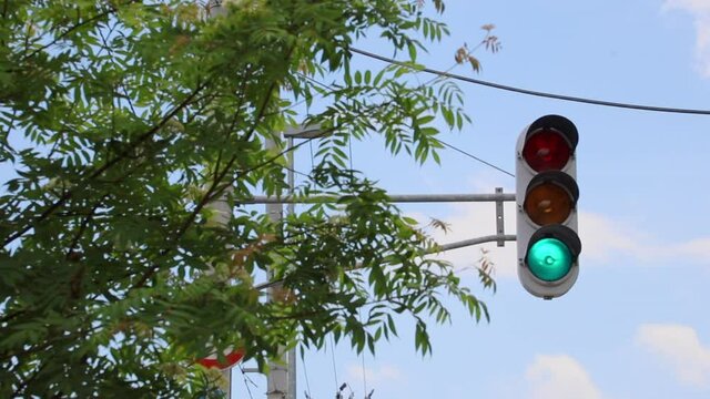日本の信号機