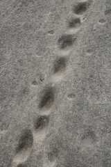 
detail of rock steps at the natural monument of Czech elephant stones,
