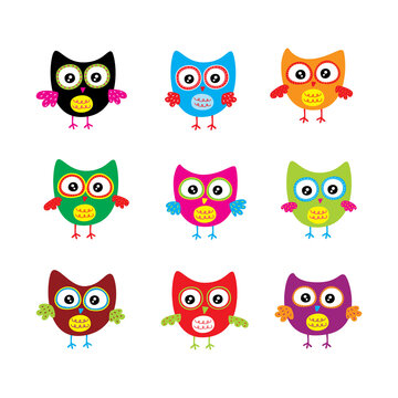 cute colorful owl vector design