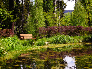 Fototapeta na wymiar A bench above the pond in the park