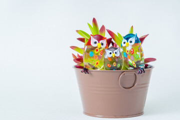 ガラス細工のふくろうと多肉植物