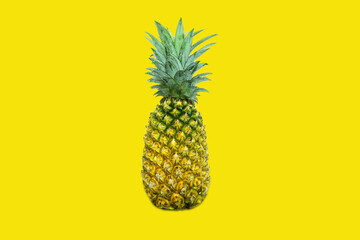 Ripe pineapple on  yellow background with Clipping Path