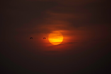 Meet me where the sky touches the sea. Sunrise and the dawn sky is a pleasant thing to watch in the Hands of Mother Nature.
