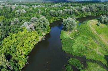 Obraz premium Scenery with river and forest from aerial view. Green bushes on riversides.