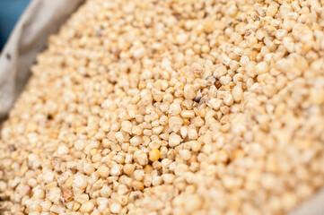 Detail bag with corn kernels, basic grains