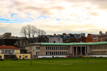 Fototapeta na wymiar A large tree on a green lawn at Trinity College in Dublin.