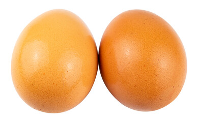 The hen's egg is visible, with a yellowish yellow inside on a completely separate white background.
