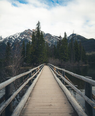 Fototapeta na wymiar Jasper National Park Mountains