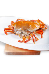 Boiled red crab on a white ceramic plate over a wooden board, isolated in a white background feel.