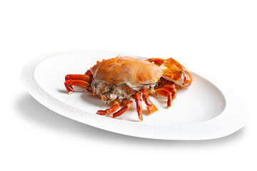Crab. Raw crab as a raw material for the dinner menu is placed on a white plate.