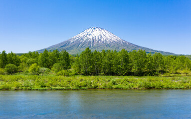 Fototapeta premium ニセコの広大な風景と羊蹄山 / 北海道の観光イメージ