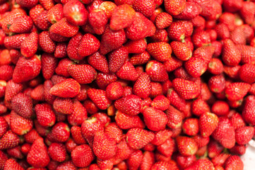 Fresh fruit in the markets of Panajachel 