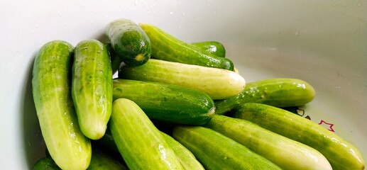 cucumbers on a white background