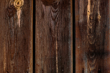 Wood texture. Wood texture for design and decoration
