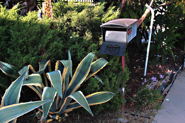 An old mailbox at the entrance to a postal order house in a garden with plants in San Gabriel, Los Angeles