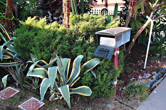 An Old Mailbox At The Entrance To A Postal Order House In A Garden With Plants In San Gabriel, Los Angeles