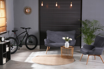 Modern bicycle and comfortable sofa in stylish living room interior