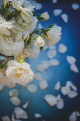 closeup of bouquet of white roses with blue background